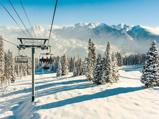 Riders on a chairlift climbing past snow-covered pines on a bluebird day
